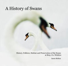 A History of Swans book cover