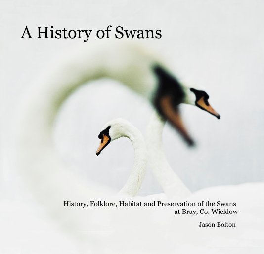 View A History of Swans by Jason Bolton