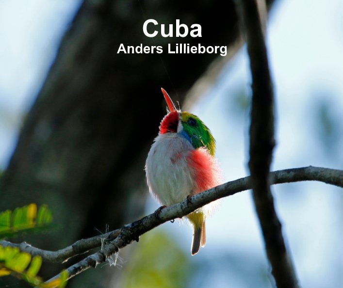 Visualizza Cuba di Anders Lillieborg
