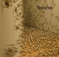 Swarm book cover