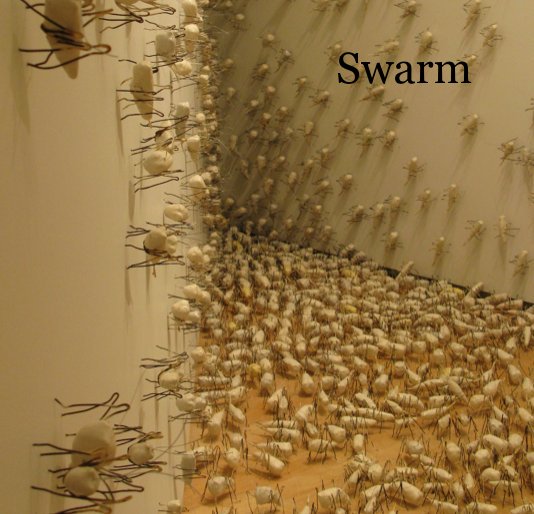 View Swarm by Elaine Parks