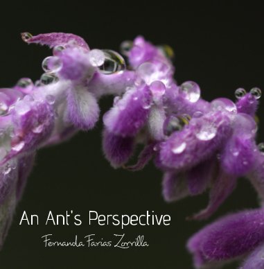 An Ant's Perspective book cover