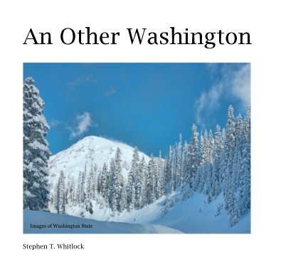 An Other Washington book cover