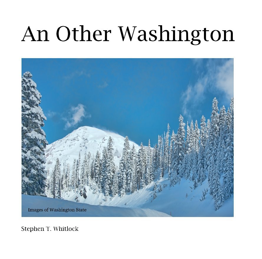 View An Other Washington by Stephen T. Whitlock