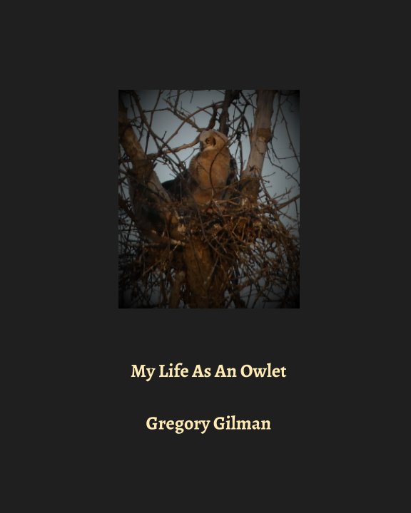 View My Life As An Owlet Paperback by Gregory Gilman