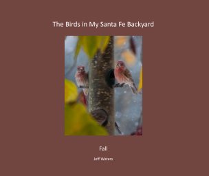 The Birds in My Santa Fe Backyard Fall Edition softcover book cover