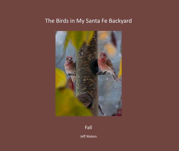 View The Birds in My Santa Fe Backyard Fall Edition softcover by Jeff Waters