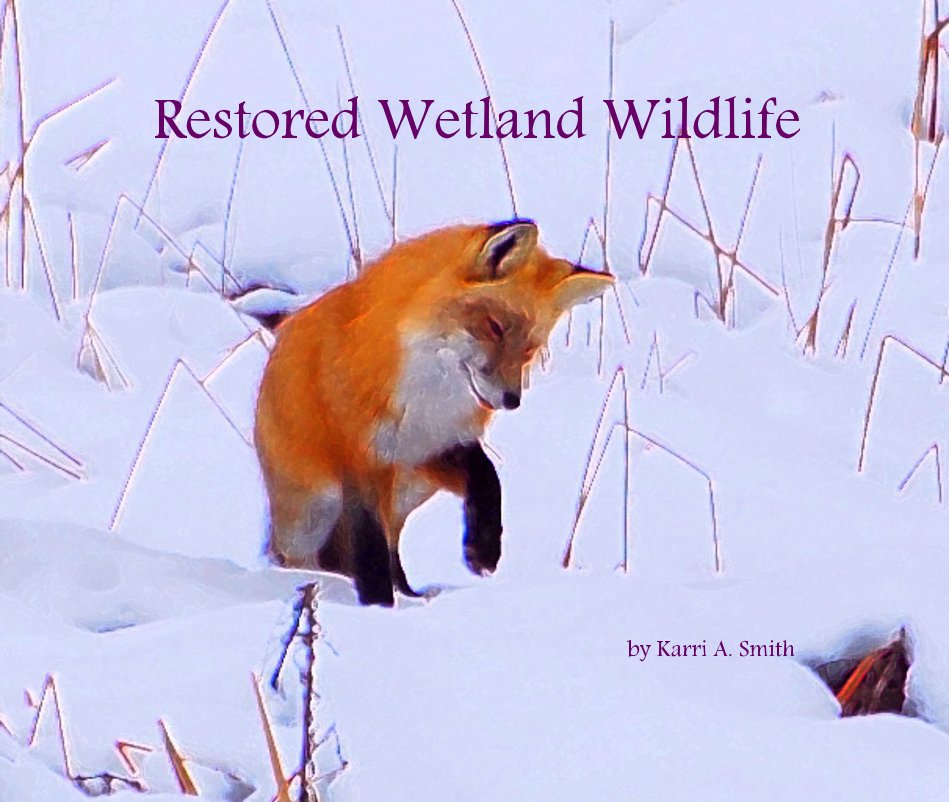 View Restored Wetland Wildlife by Karri A. Smith