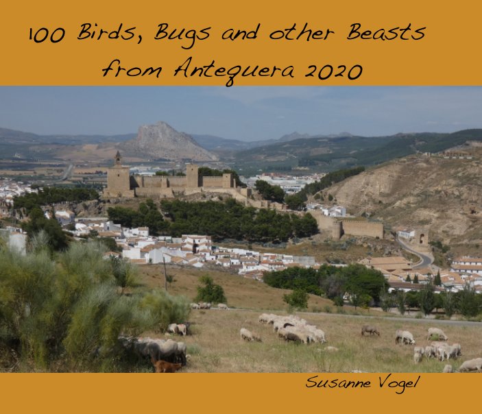 View 100 Birds, Bugs and other Beasts from Antequera 2020 by Susanne Vogel