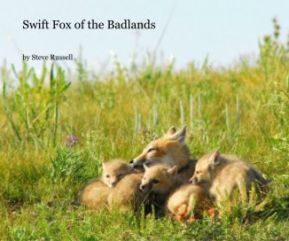 Swift Fox of the Badlands book cover