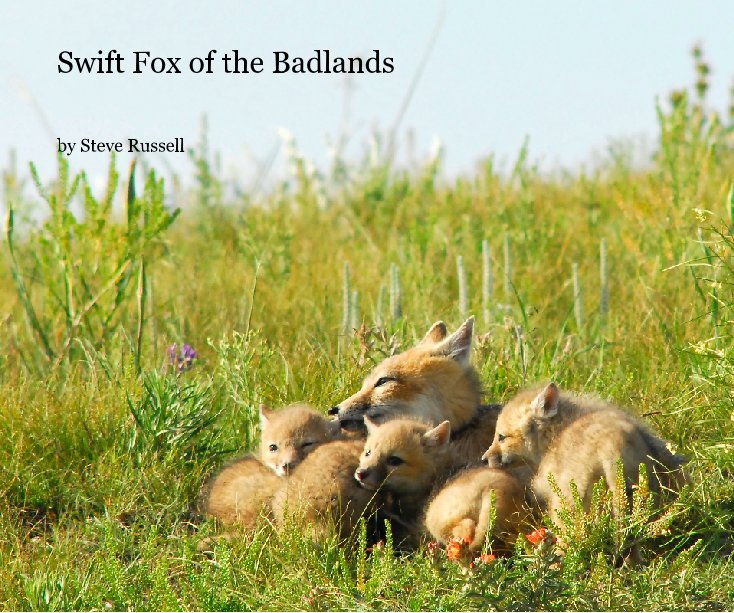 View Swift Fox of the Badlands by Steve Russell