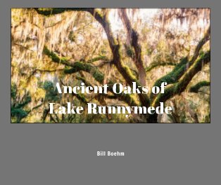 Ancient Oaks of Lake Runnymede book cover