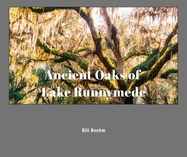 View Ancient Oaks of Lake Runnymede by Bill Boehm