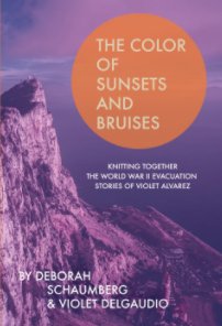 The Color of Sunsets and Bruises book cover