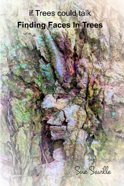 View Finding Faces in Trees by Sue Saville