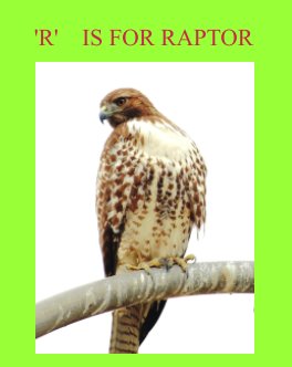 'R' Is for Raptor book cover
