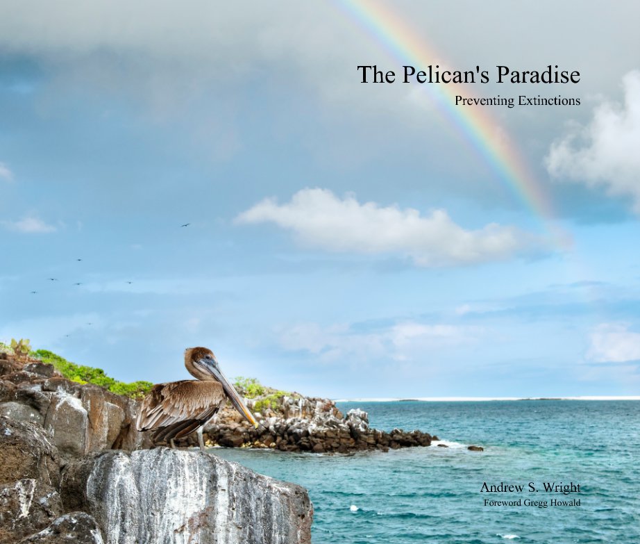 View Pelican's Paradise by Andrew S. Wright