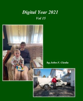 Digital Year 2021 Vol 15 book cover