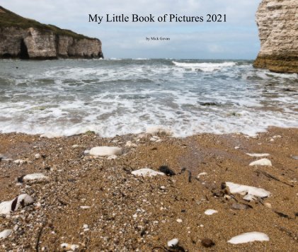 My Little Book of Pictures 2021 book cover