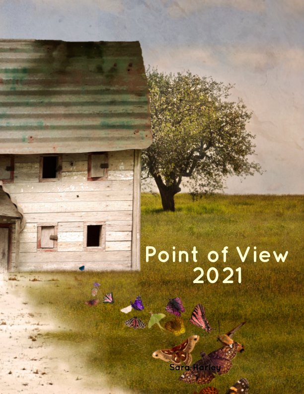View Point of View 2021 by Sara Harley
