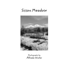 Sisson Meadow book cover