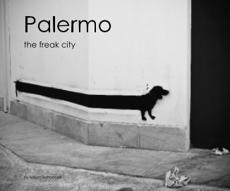 Palermo book cover