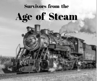 Survivors from the Age of Steam book cover