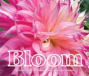 Bloom book cover
