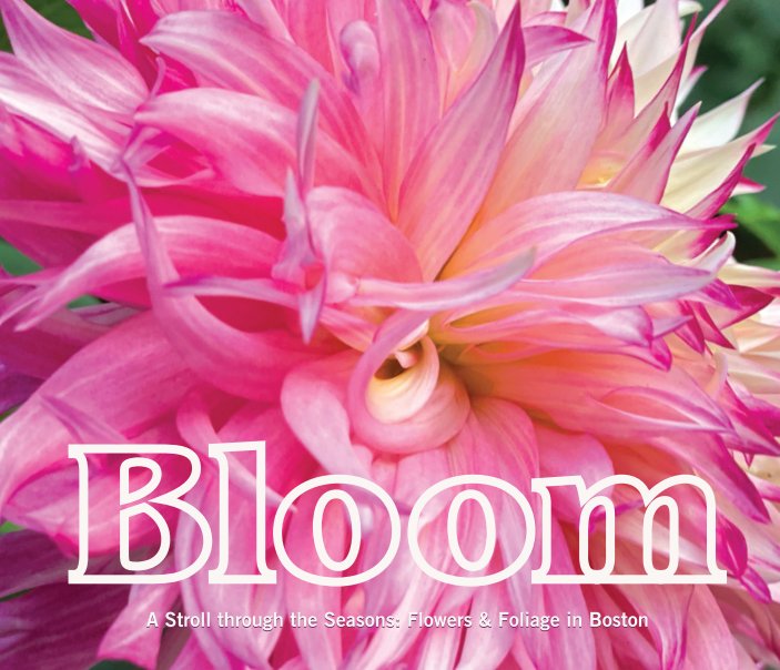 Bekijk Bloom op Lisa Link