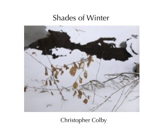 Shades of Winter book cover