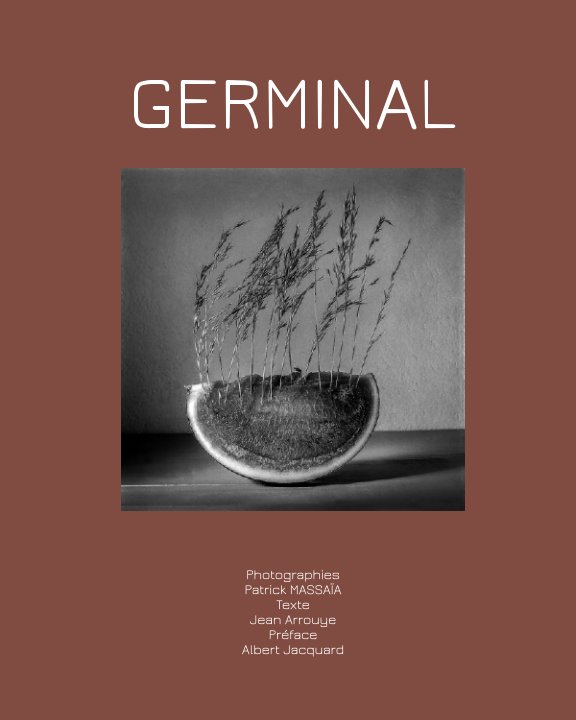 View Germinal by Patrick MASSAÏA