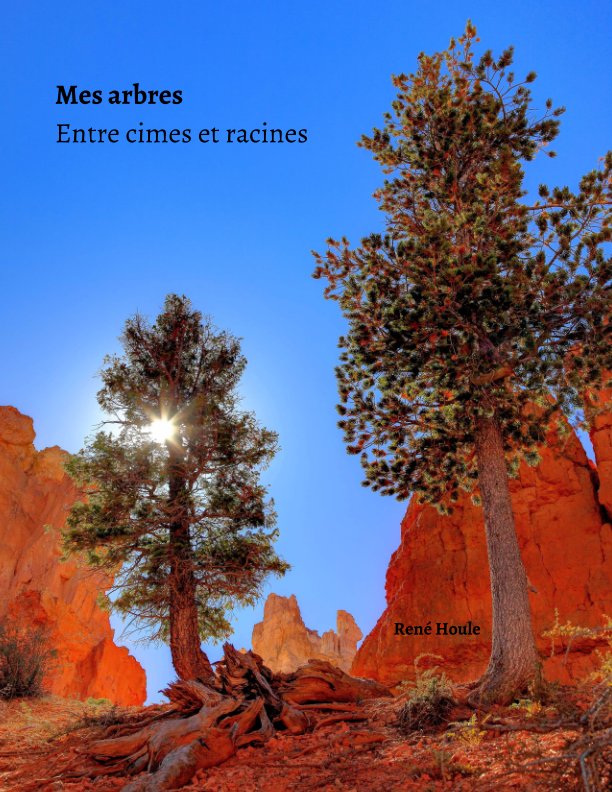 View Mes arbres by René Houle