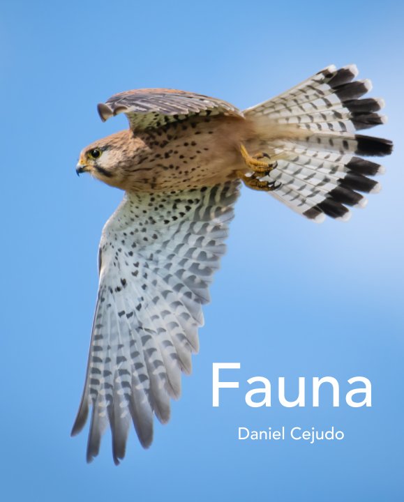 View Fauna by Daniel Cejudo