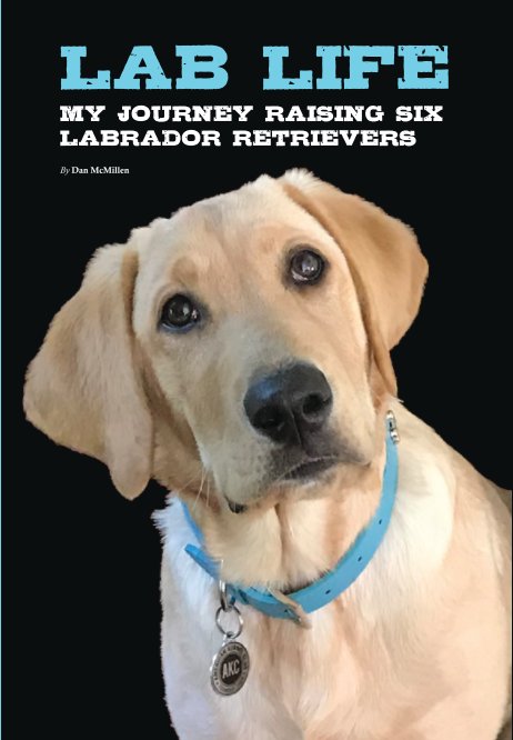 Ver Lab Life: My Journey Raising Six Labrador Retrievers por Dan McMillen