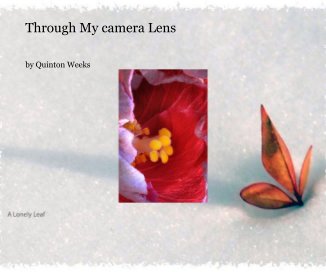 Through My camera Lens book cover