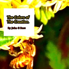 The Colors of The Creation. book cover
