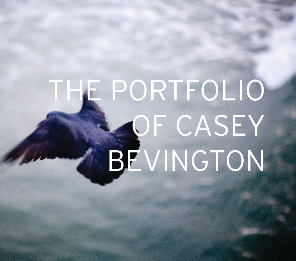 View The Portfolio of Casey Bevington by Casey H. Bevington