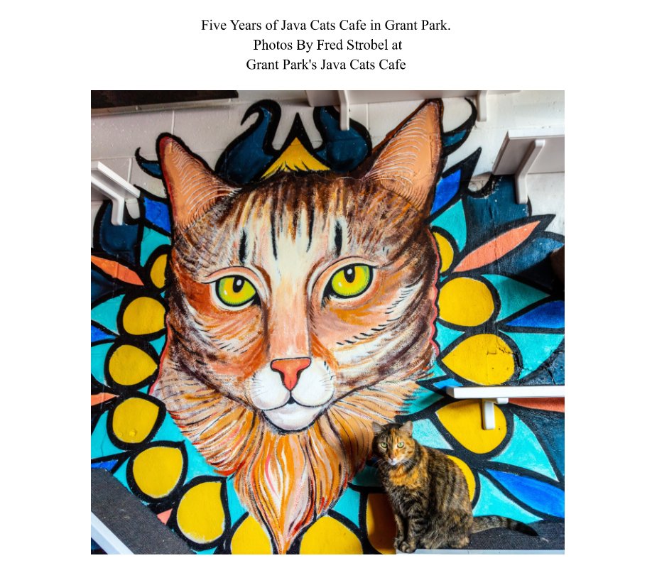 Bekijk 5 Years of Java Cats Cafe in Grant Park op Fred Strobel