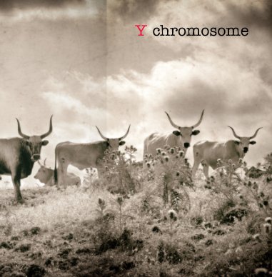Y chromosome book cover