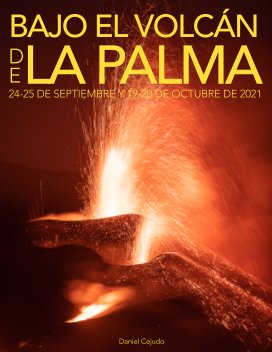 Bajo el volcán de La Palma book cover