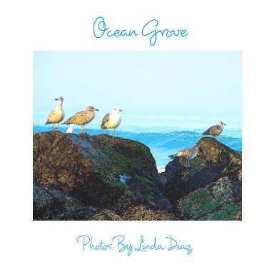 Ocean Grove book cover