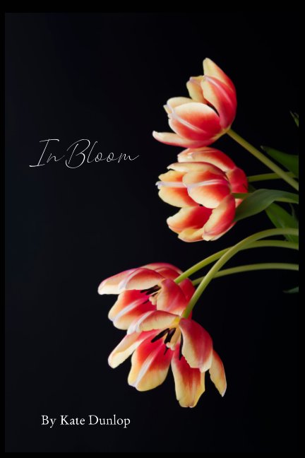 View In Bloom Trade Publication by Kate Dunlop