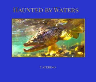 Haunted by Waters book cover
