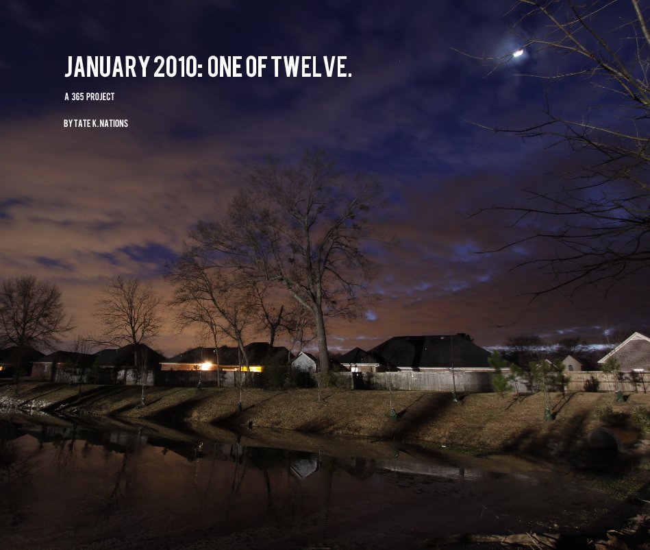 Visualizza January 2010: one of twelve. di Tate K. Nations