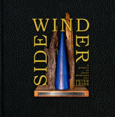 Sidewinder book cover
