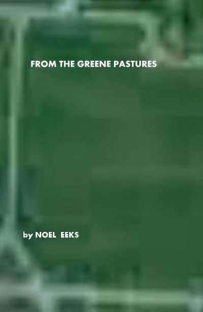 View From the Greene Pastures by NOEL EEKS
