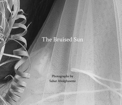 The Bruised Sun book cover