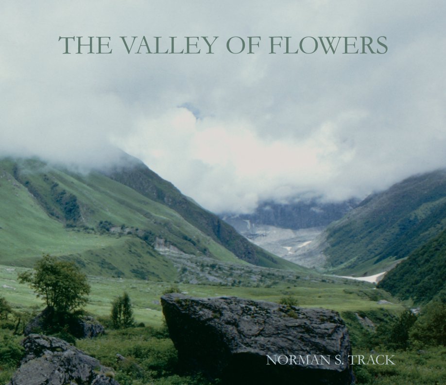 View The Valley of Flowers by Norman S. Track