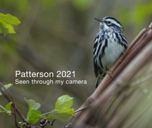 Patterson 2021 Seen through my camera book cover