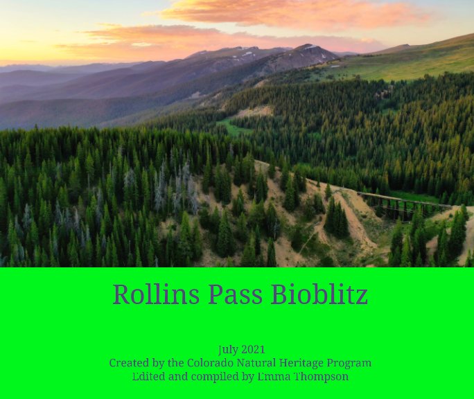 Ver Rollins Pass Bioblitz 2021 por CO Natural Heritage Program